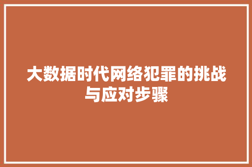 大数据时代网络犯罪的挑战与应对步骤