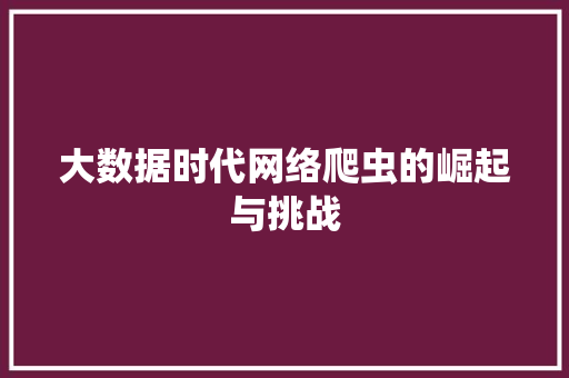 大数据时代网络爬虫的崛起与挑战