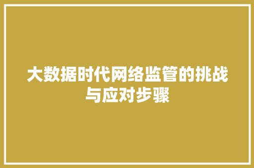 大数据时代网络监管的挑战与应对步骤