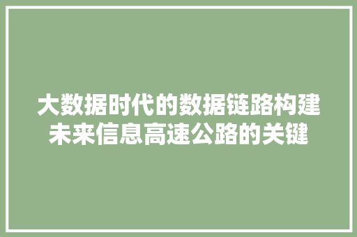 大数据时代的数据链路构建未来信息高速公路的关键
