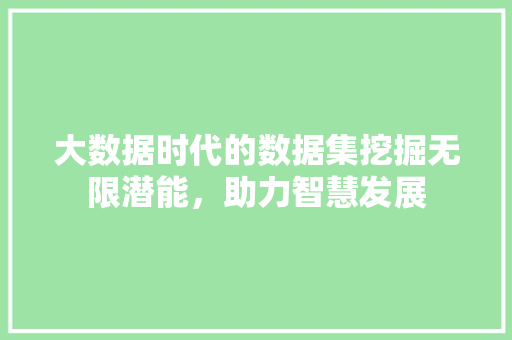 大数据时代的数据集挖掘无限潜能，助力智慧发展