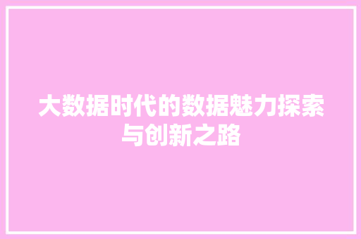 大数据时代的数据魅力探索与创新之路