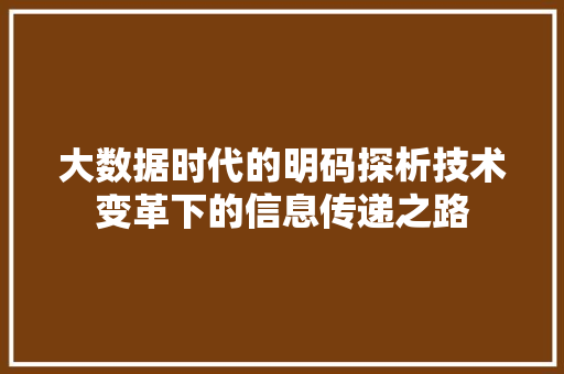 大数据时代的明码探析技术变革下的信息传递之路
