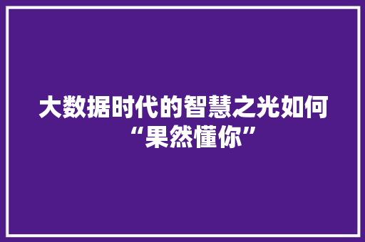 大数据时代的智慧之光如何“果然懂你”