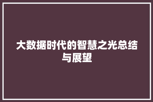 大数据时代的智慧之光总结与展望