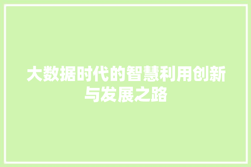 大数据时代的智慧利用创新与发展之路