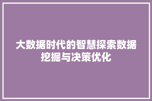 大数据时代的智慧探索数据挖掘与决策优化