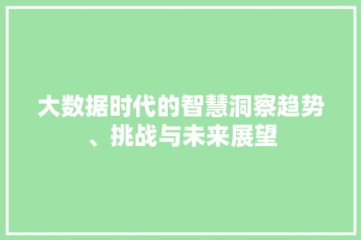 大数据时代的智慧洞察趋势、挑战与未来展望