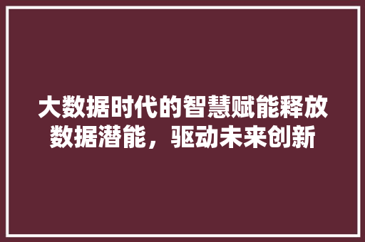 大数据时代的智慧赋能释放数据潜能，驱动未来创新