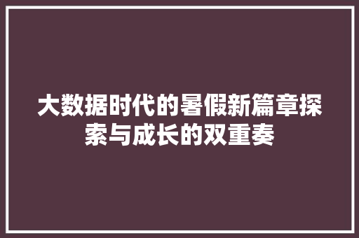 大数据时代的暑假新篇章探索与成长的双重奏