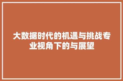 大数据时代的机遇与挑战专业视角下的与展望