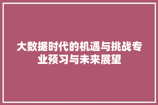 大数据时代的机遇与挑战专业预习与未来展望
