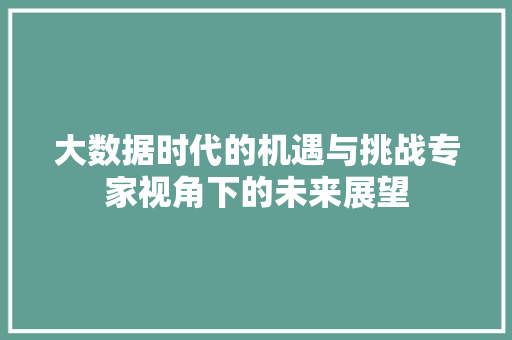 大数据时代的机遇与挑战专家视角下的未来展望