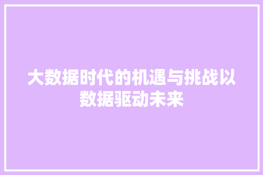 大数据时代的机遇与挑战以数据驱动未来