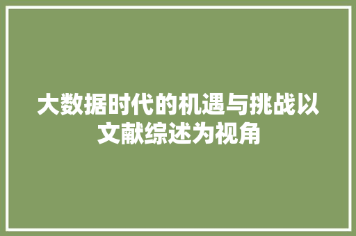 大数据时代的机遇与挑战以文献综述为视角