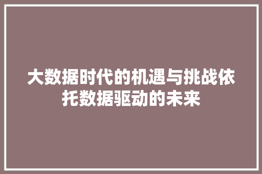 大数据时代的机遇与挑战依托数据驱动的未来