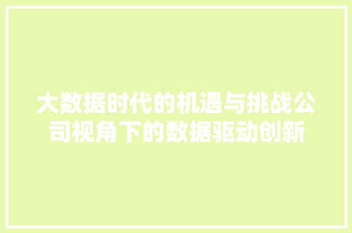 大数据时代的机遇与挑战公司视角下的数据驱动创新