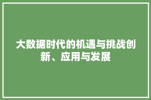 大数据时代的机遇与挑战创新、应用与发展