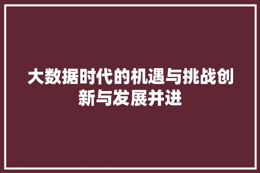 大数据时代的机遇与挑战创新与发展并进