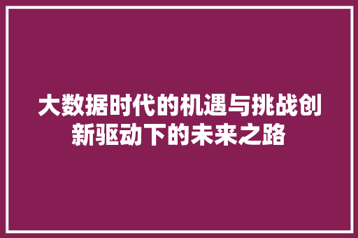 大数据时代的机遇与挑战创新驱动下的未来之路