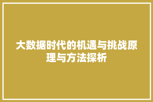 大数据时代的机遇与挑战原理与方法探析