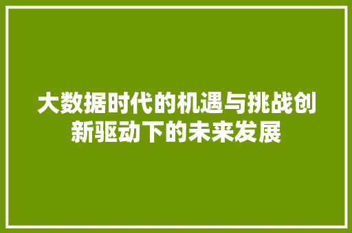 大数据时代的机遇与挑战创新驱动下的未来发展