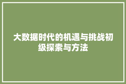 大数据时代的机遇与挑战初级探索与方法
