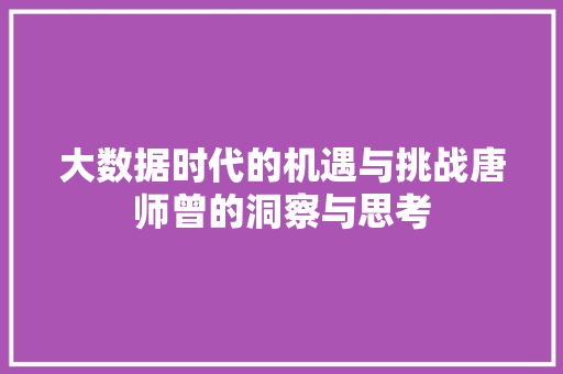 大数据时代的机遇与挑战唐师曾的洞察与思考