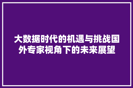 大数据时代的机遇与挑战国外专家视角下的未来展望