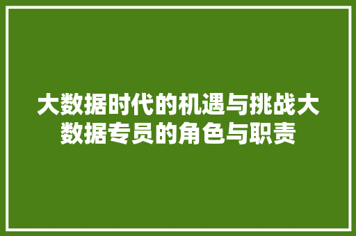 大数据时代的机遇与挑战大数据专员的角色与职责
