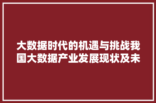 大数据时代的机遇与挑战我国大数据产业发展现状及未来展望
