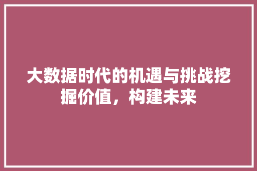 大数据时代的机遇与挑战挖掘价值，构建未来
