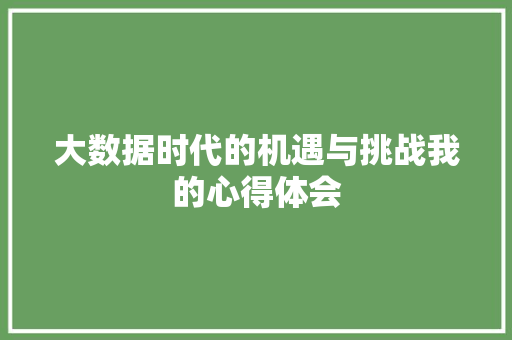 大数据时代的机遇与挑战我的心得体会