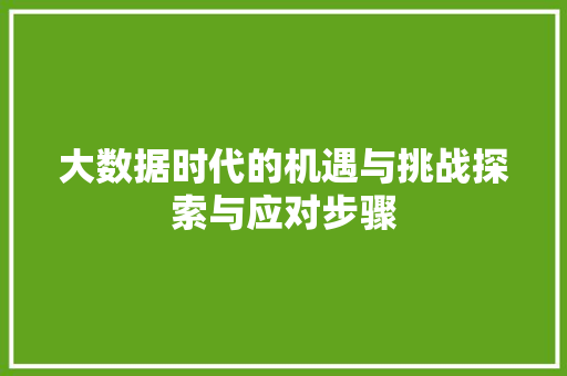 大数据时代的机遇与挑战探索与应对步骤