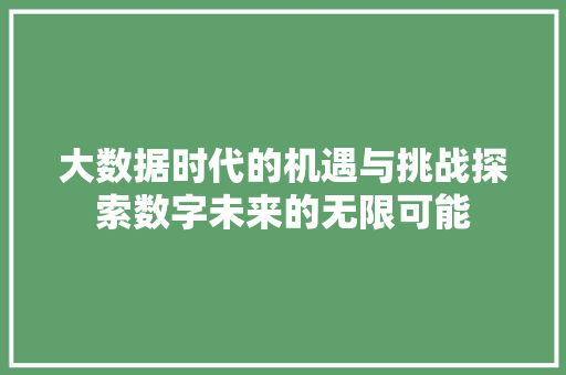 大数据时代的机遇与挑战探索数字未来的无限可能