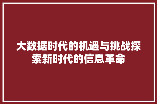 大数据时代的机遇与挑战探索新时代的信息革命