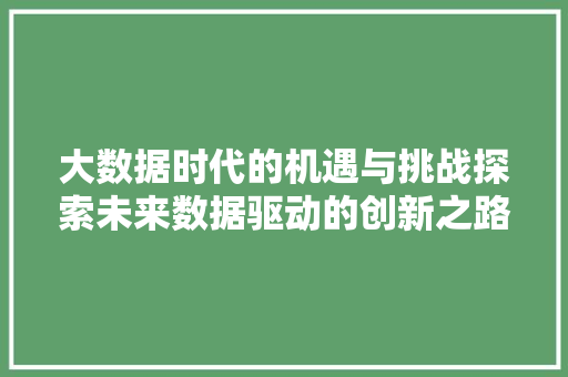 大数据时代的机遇与挑战探索未来数据驱动的创新之路