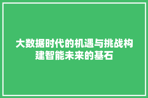 大数据时代的机遇与挑战构建智能未来的基石