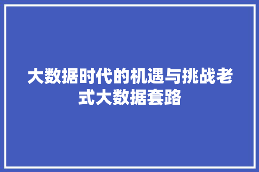 大数据时代的机遇与挑战老式大数据套路