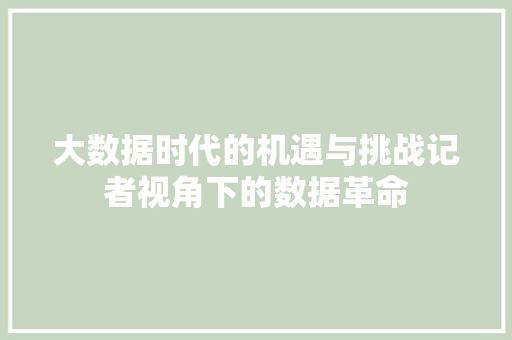 大数据时代的机遇与挑战记者视角下的数据革命