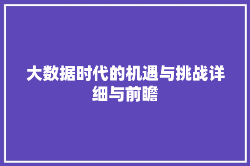 大数据时代的机遇与挑战详细与前瞻