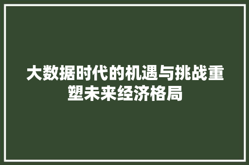 大数据时代的机遇与挑战重塑未来经济格局
