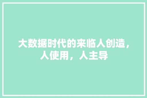 大数据时代的来临人创造，人使用，人主导