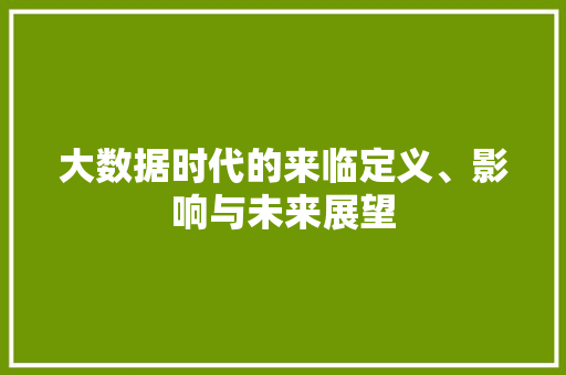 大数据时代的来临定义、影响与未来展望
