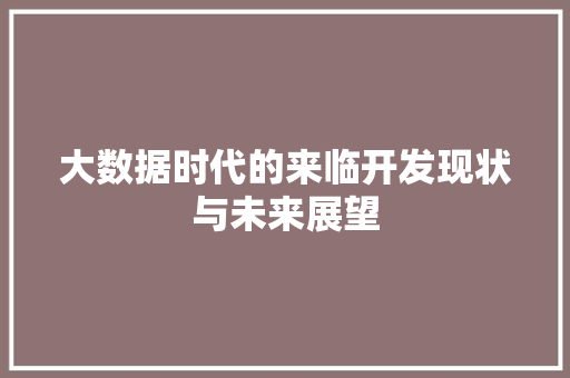 大数据时代的来临开发现状与未来展望
