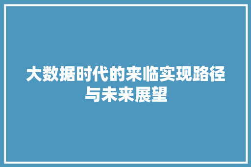 大数据时代的来临实现路径与未来展望