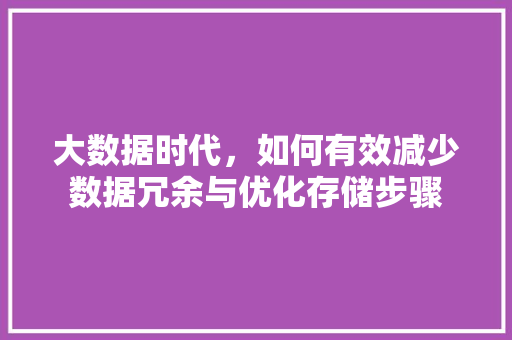 大数据时代，如何有效减少数据冗余与优化存储步骤