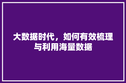大数据时代，如何有效梳理与利用海量数据