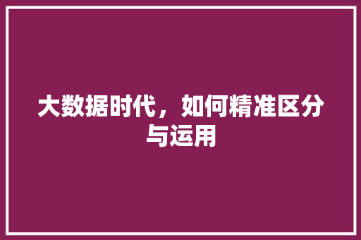 大数据时代，如何精准区分与运用