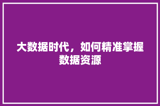 大数据时代，如何精准掌握数据资源